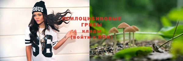 а пвп мука Аркадак